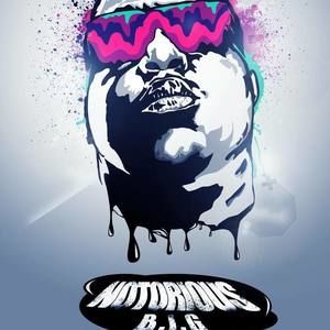 Meet your Posher, Bruce